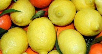 fruit cold strorage